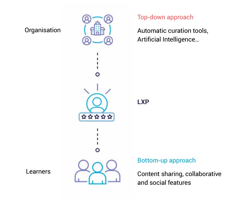 learning curation