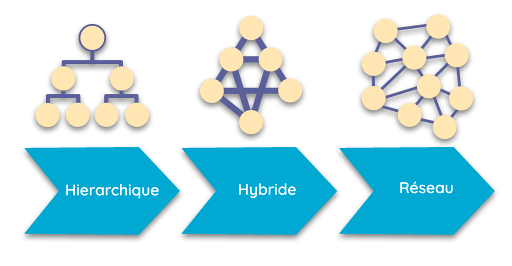 social learning
