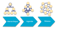 social learning